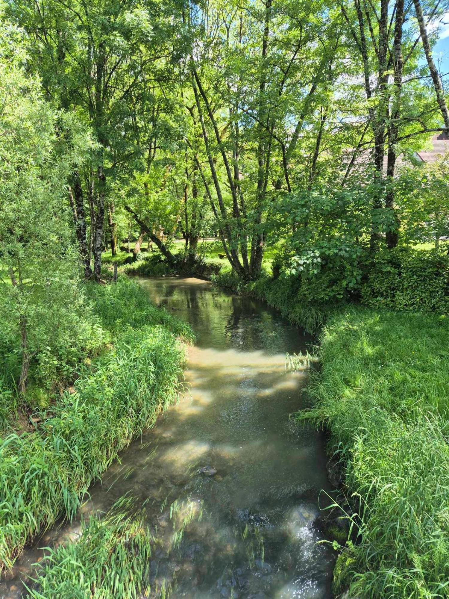 Au lavoir du Serein Les Écureuils Saint-Germain-lès-Arlay Exterior foto