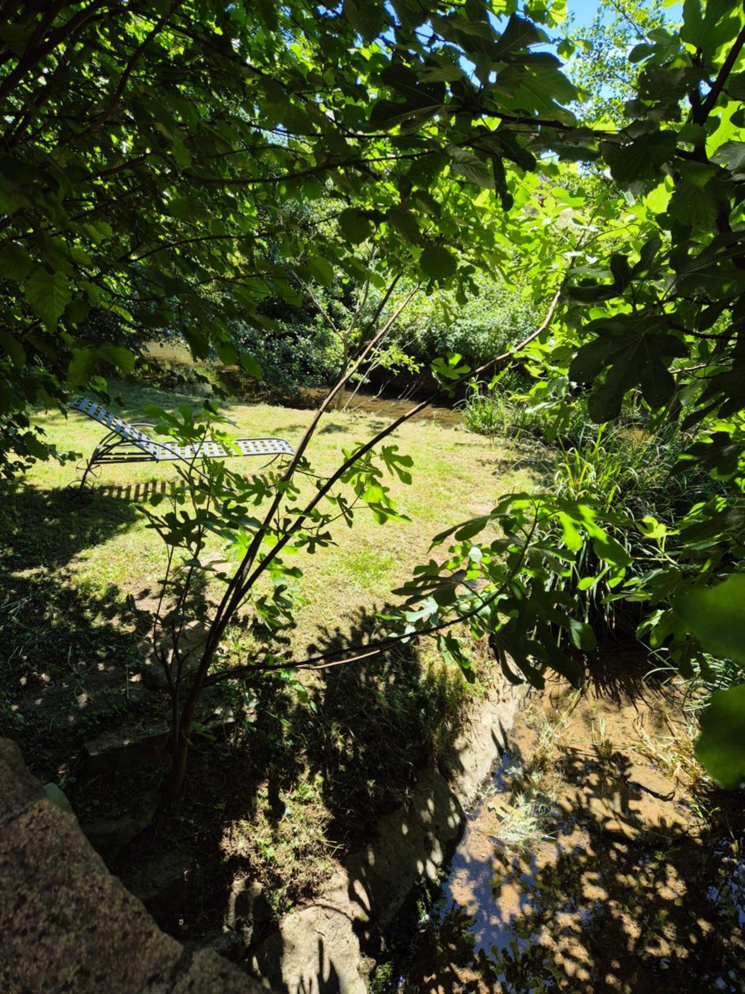 Au lavoir du Serein Les Écureuils Saint-Germain-lès-Arlay Exterior foto